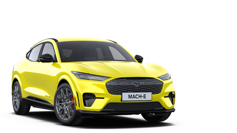 41 mach e rally